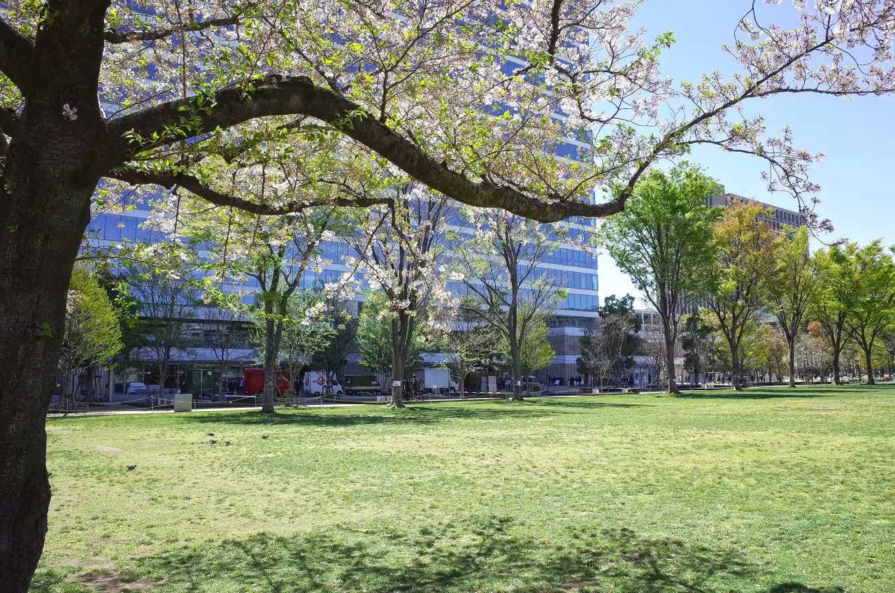 🏞️ 사계절의 숲 공원(시키노모리 코엔) 이미지 5